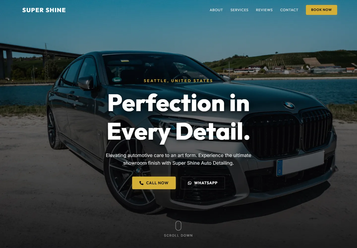 Auto Detailing Website preview screenshot